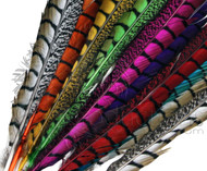 Bleached & Dyed Lady Amherst Pheasant Feather Tails (30-35)