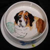 Beethoven St. Bernard Hand-Painted Dog Bowl