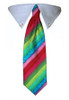 Rainbow Stripe Tie Collar