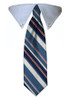 Blue Stripe Tie Collar