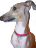 Pearl Circle Patent Leather Collar in Hot Pink
