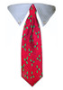 Holiday Holly Tie Collar