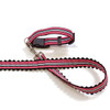Rizzo Stripe Ribbon Collar or Lead