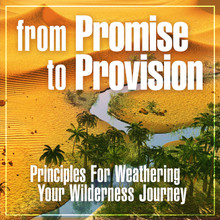 From Promise To Provison MP3