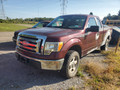 2009 Ford F150 04155