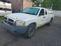 2007 Dodge Dakota 04903