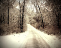 Icy Trail, Homestead, IA 
