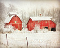 Two Red Barns in Morning Snowfall, Johnson Co, IA 