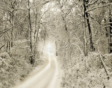 Snowy Trail, Homestead, IA 