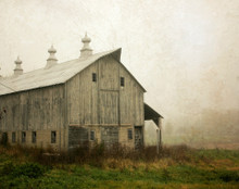 Middle Barn in Morning Fog