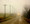 Country Road on Foggy Morn, Amana, IA