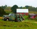 Old Green Ford, Near Dyersville, IA