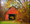 Red Barn in Yellow Foliage, Tiffin, IA  (Barn is no longer with us)