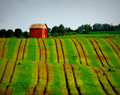 Red Crib and Stripes. Rural Johnson Co, IA. 