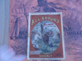 SCARCE ALL AROUND WEEKLY #6 FRANK TOUSEY DIME NOVEL STORY PAPER