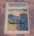 RED, WHITE & BLUE WEEKLY #31 BEVERLY KENNON SECRET SERVICE CIVIL WAR DIME NOVEL
