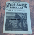 FIVE CENT WIDE AWAKE LIBRARY #532 COL J M TRAVERS 1882 DIME NOVEL STORY PAPER