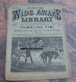 FIVE CENT WIDE AWAKE LIBRARY #470 TUMBLING TIM PETER PAD CIRCUS 1881 DIME NOVEL 
