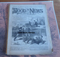 GOOD NEWS ADVERTISEMENT SHEET #17 STREET AND SMITH 1890 DIME NOVEL STORY PAPER