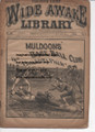 FIVE CENT WIDE AWAKE LIBRARY #971 BOSTON BASEBALL 1890 DIME NOVEL STORY PAPER