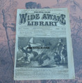 5 CENT WIDE AWAKE LIBRARY #53 FRANK TOUSEY SHORTY JUNIOR COVER 1879 DIME NOVEL