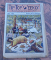 1899 TIP TOP WEEKLY #176 STREET & SMITH DIME NOVEL FRANK MERRIWELL