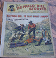 BUFFALO BILL STORIES #102 1902 EARLY DIME NOVEL STORY PAPER