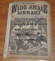 2 ISSUES OF FIVE CENT WIDE AWAKE LIBRARY #135 & #534 FRANK TOUSEY DIME NOVEL STORY PAPER