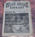FIVE CENT WIDE AWAKE LIBRARY #1290 DIME NOVEL STORY PAPER