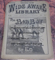 1889 FIVE CENT WIDE AWAKE LIBRARY #924 DIME NOVEL STORY PAPER
