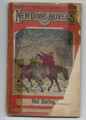 1866 BEADLE'S NEW DIME NOVELS #146 DIME NOVEL STORY PAPER