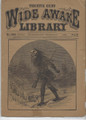 1896 FIVE CENT WIDE AWAKE LIBRARY 1293 ADVENTURE STORY DIME NOVEL STORY PAPER
