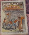 WIDE AWAKE WEEKLY #131 SCARCE FIREMAN FIRE FIGHTING DIME NOVEL STORY PAPER