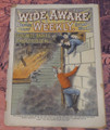 WIDE AWAKE WEEKLY #111 SCARCE FIREMAN FIRE FIGHTING DIME NOVEL STORY PAPER