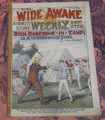 WIDE AWAKE WEEKLY #163 SCARCE FIREMAN FIRE FIGHTING DIME NOVEL STORY PAPER