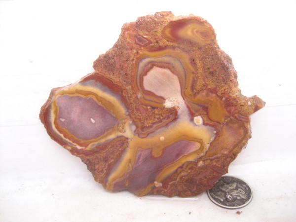 Pinto Wash Wonderstone*