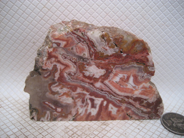 Rosetta Lace Stone~..