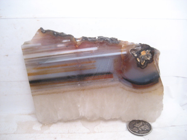 Piranha Agate``