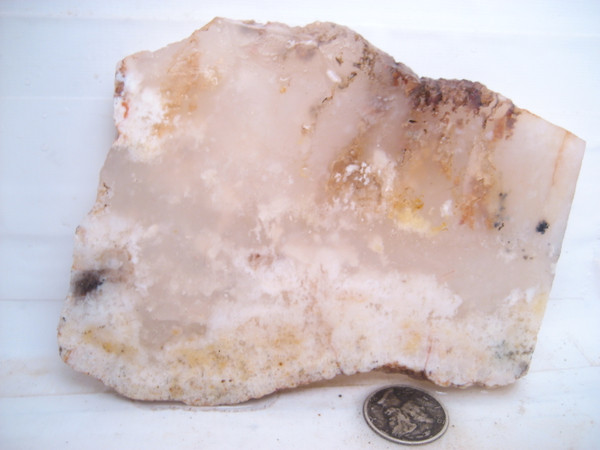 Warm Springs Reservoir Plume Agate.`