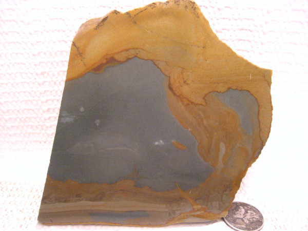 Owyhee Picture Jasper.*