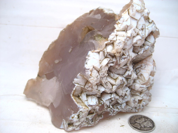 Beaver Rim Agate`