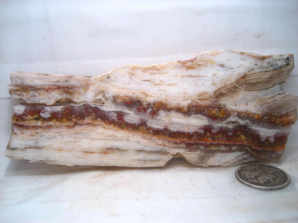 Bacon Opalite`.