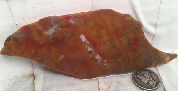 Vaquilla Plume Agate`.