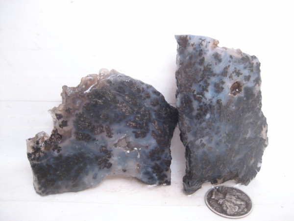 Medicine Bow Plume Agate*'