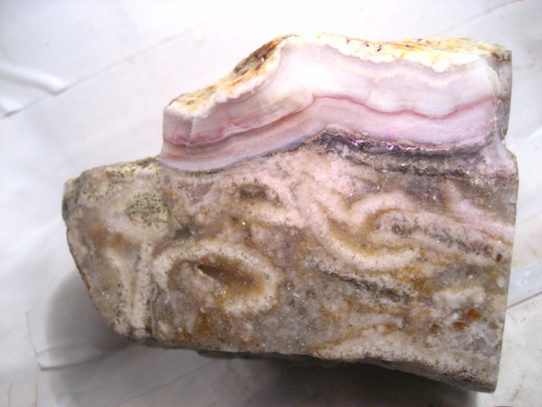 Sheep Bridge Sagenite Agate' 