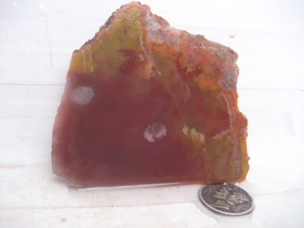 Tin Can Flat Agate