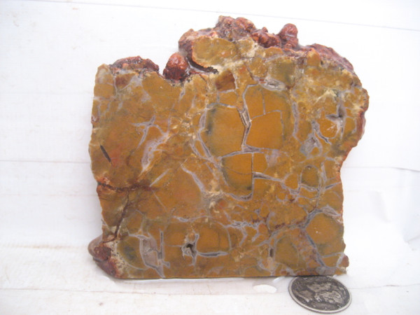 Stone Canyon Jasper*