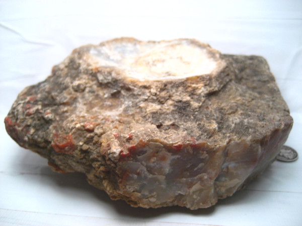 Red Lightning Copralite~