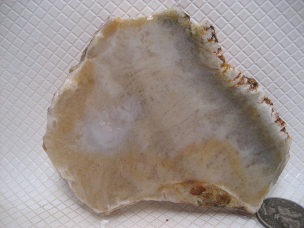 Agoura Hills White Plume Agate