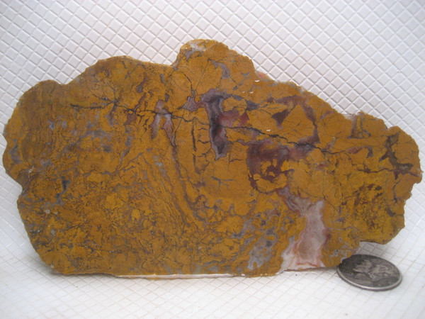 Stony Creek Jasper/Agate`